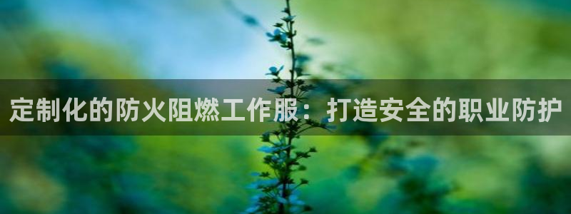 龙8游戏平台官方网站是多少|定制化的防火阻燃工作服:打造安全的职业防护
