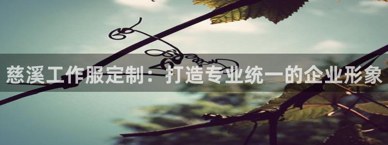 龙8游戏官方进入|慈溪工作服定制:打造专业统一的企业形象