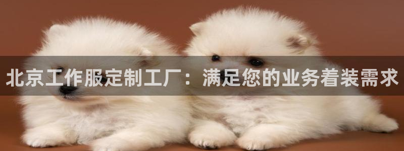 龙8国际官网娱乐|北京工作服定制工厂:满足您的业务着装需求