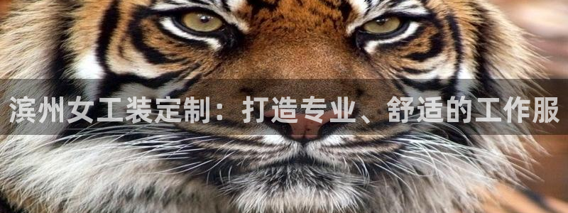 头号官网登录入口|滨州女工装定制:打造专业、舒适的工作服