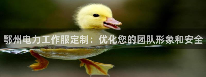 龙8头号玩家|鄂州电力工作服定制:优化您的团队形象和安全