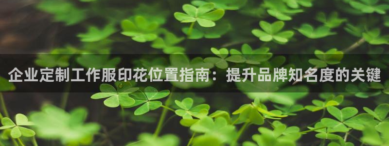long8唯一中国官方网站|企业定制工作服印花位置指南:提升品牌知名度的关键