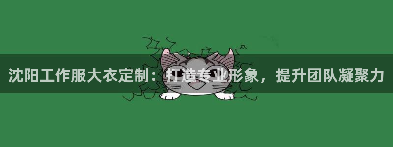 龙8long8手机登录|沈阳工作服大衣定制:打造专业形象,提升团队凝聚力